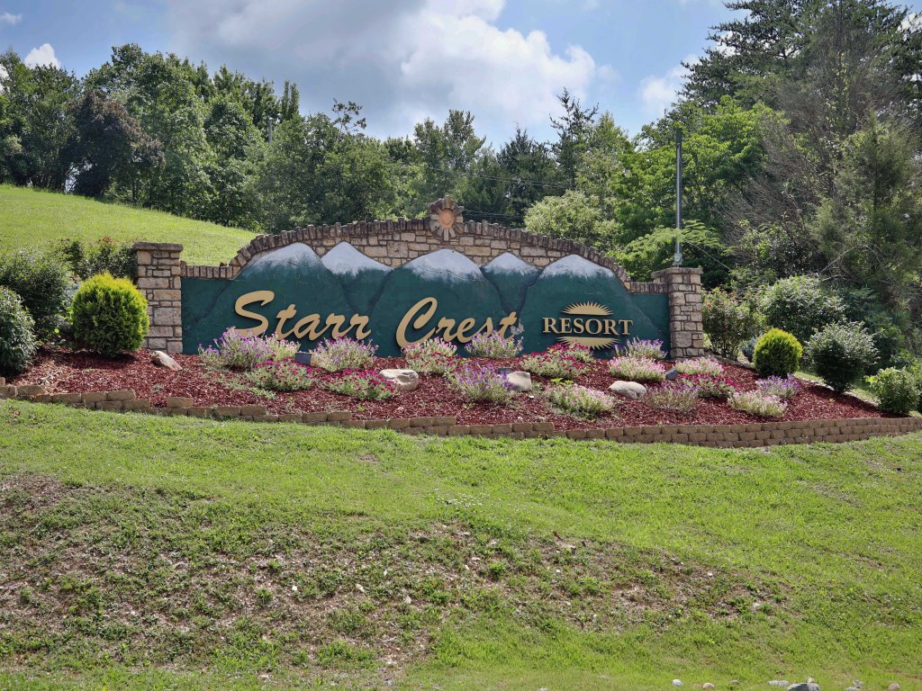 Beauty and the Bear Cabin with Private Hot Tub Vacation Rental in Sevierville - RedAwning