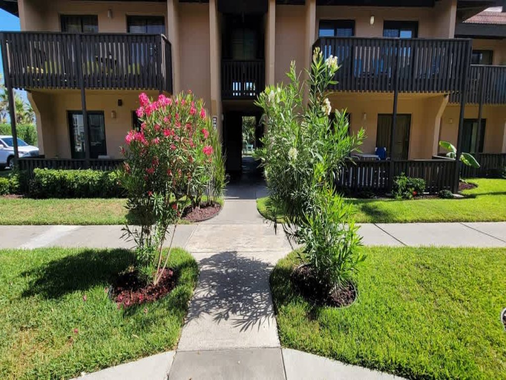 2nd Floor - Beach - Heated Pool Vacation Rental in South Padre Island - RedAwning