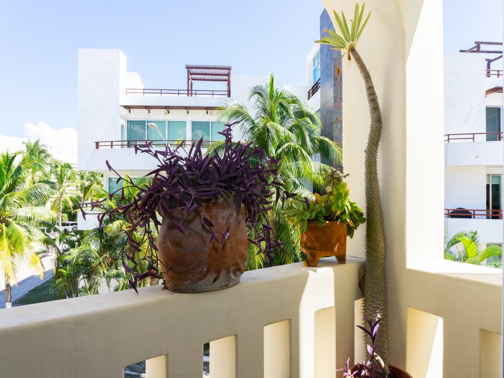 Luna Maya 3 Vacation Rental - RedAwning