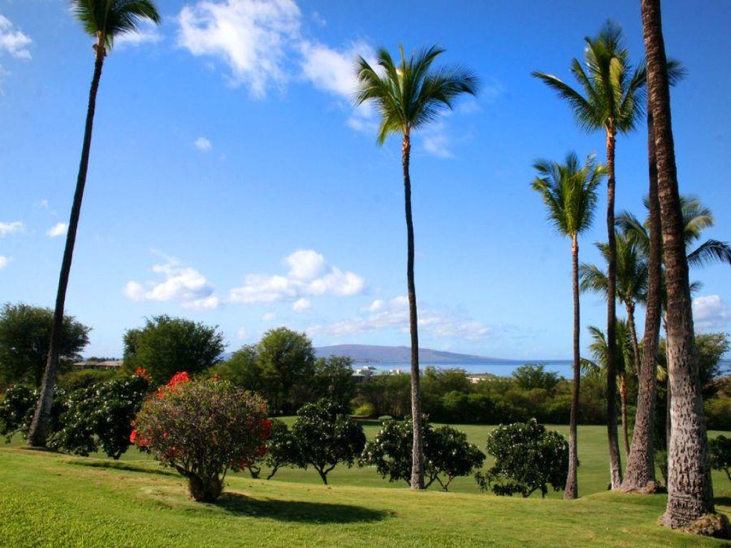 WAILEA EKOLU, #401* Vacation Rental in Hawaii - RedAwning