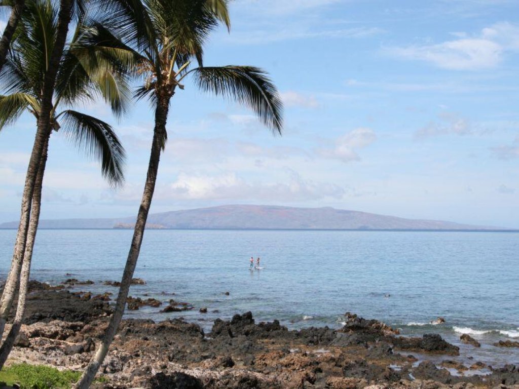 Kihei Surfside #511 Vacation Rental in Hawaii - RedAwning