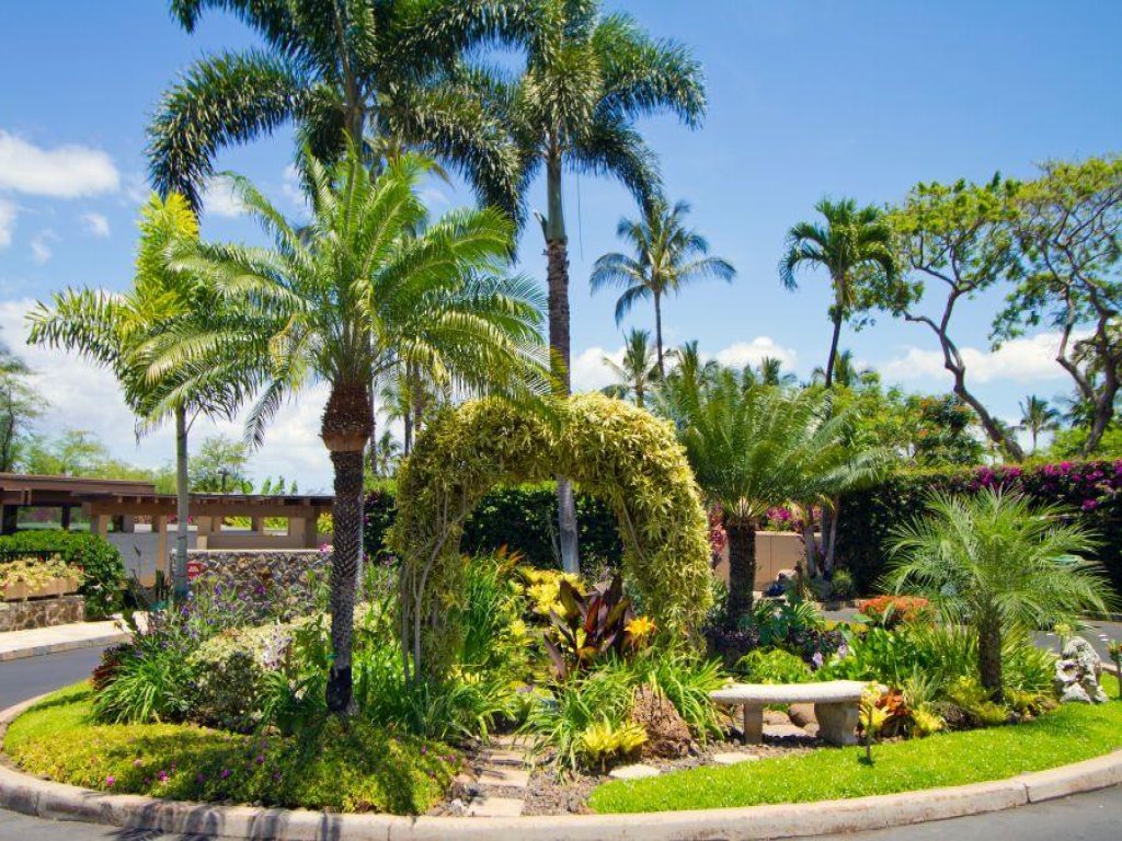 WAILEA ELUA, #1204 Vacation Rental in Hawaii - RedAwning