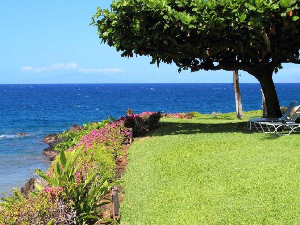 MAKENA SURF, #C-106 Vacation Rental in Hawaii - RedAwning