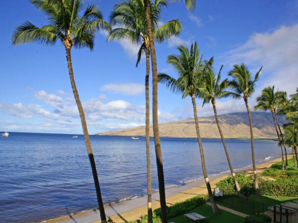 KIHEI BEACH, #203 Vacation Rental in Hawaii - RedAwning