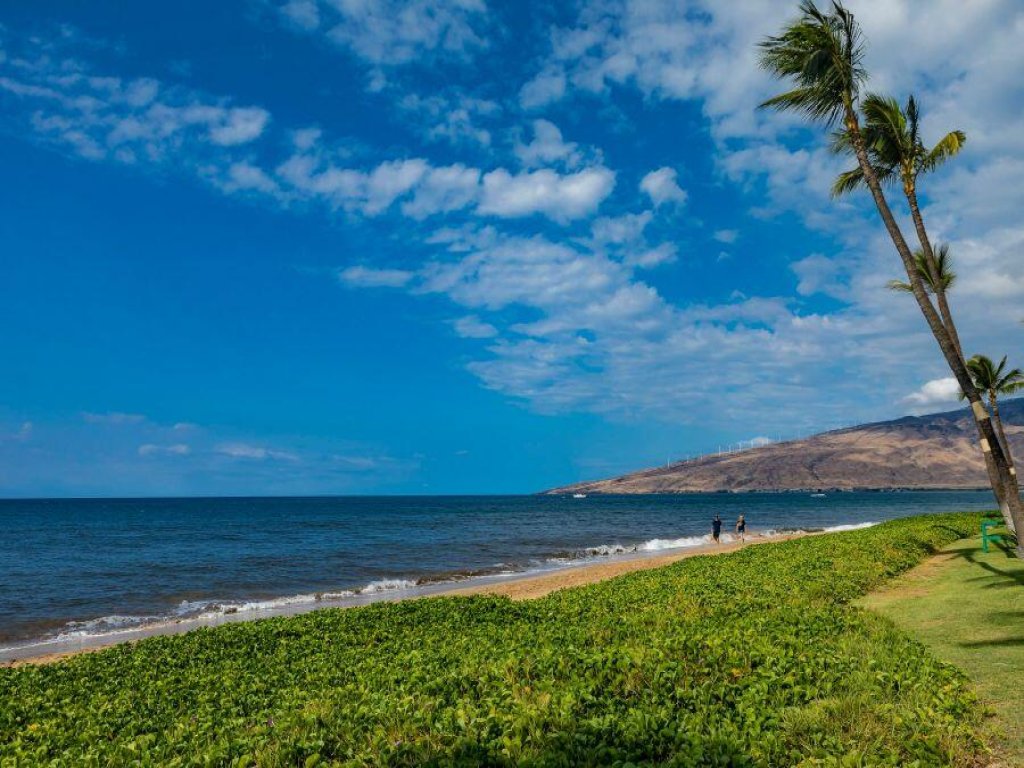 SUGAR BEACH RESORT #PH12 Vacation Rental in Hawaii - RedAwning
