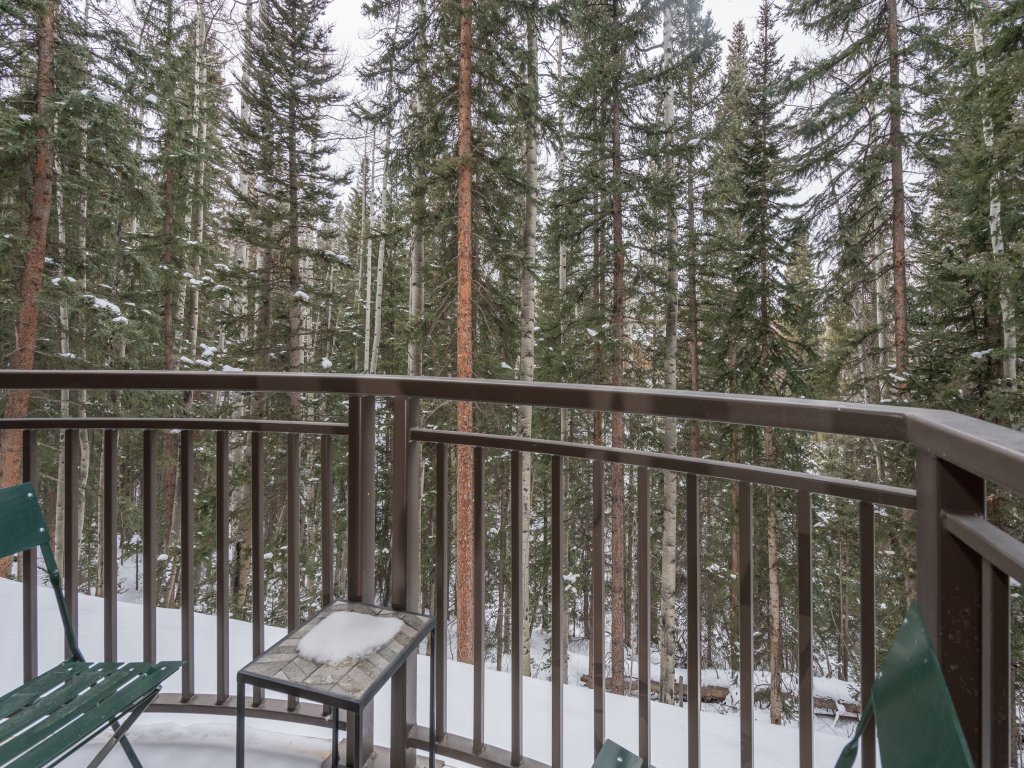 Bear Creek Lodge 203AB Vacation Rental in Mountain Village - RedAwning