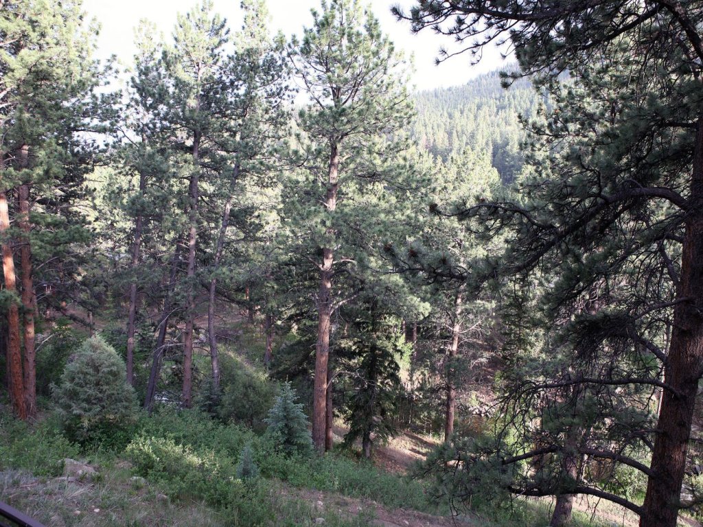 Fawn Valley Inn: 286 Vacation Rental in Estes Park - RedAwning