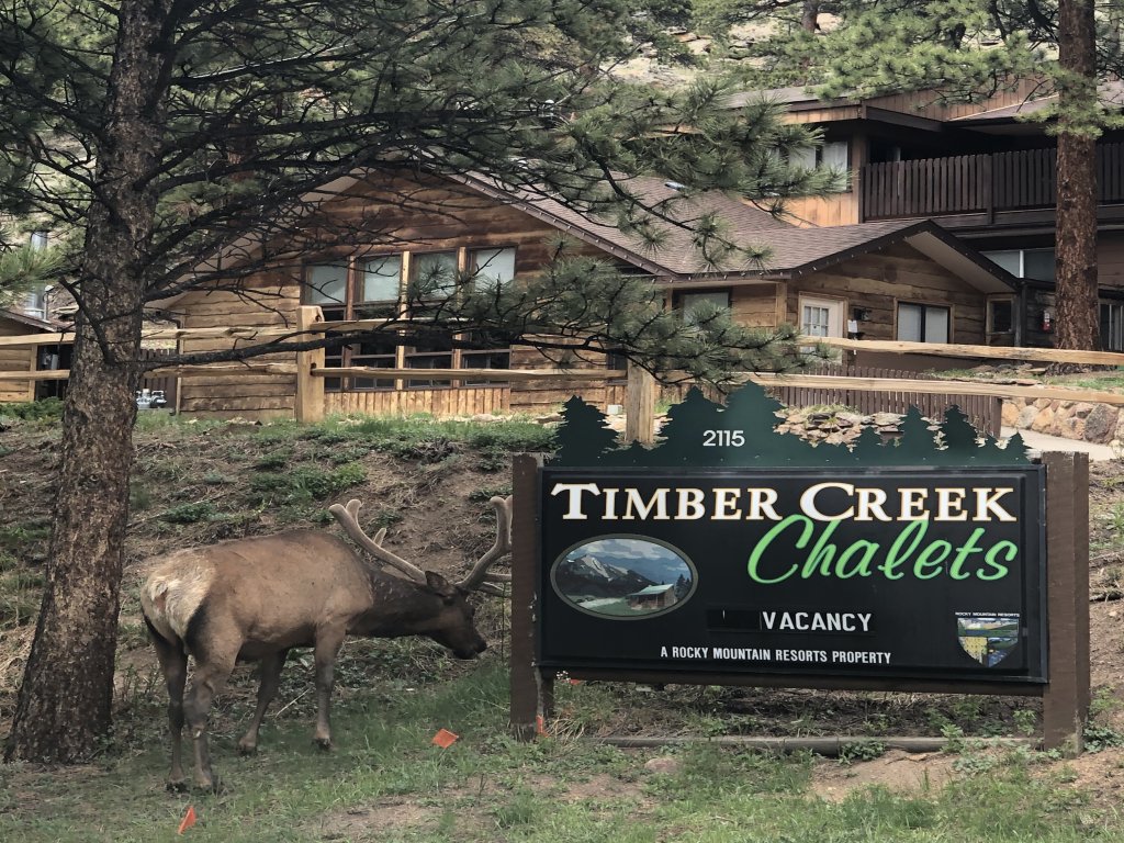 Timber Creek Chalets: 1 Vacation Rental in Estes Park - RedAwning