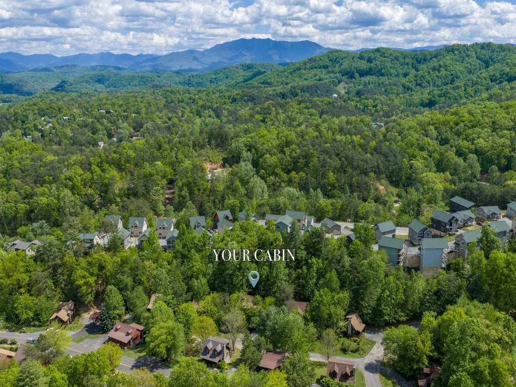 ER37 - Hi-Bear-Nate Vacation Rental in Pigeon Forge - RedAwning