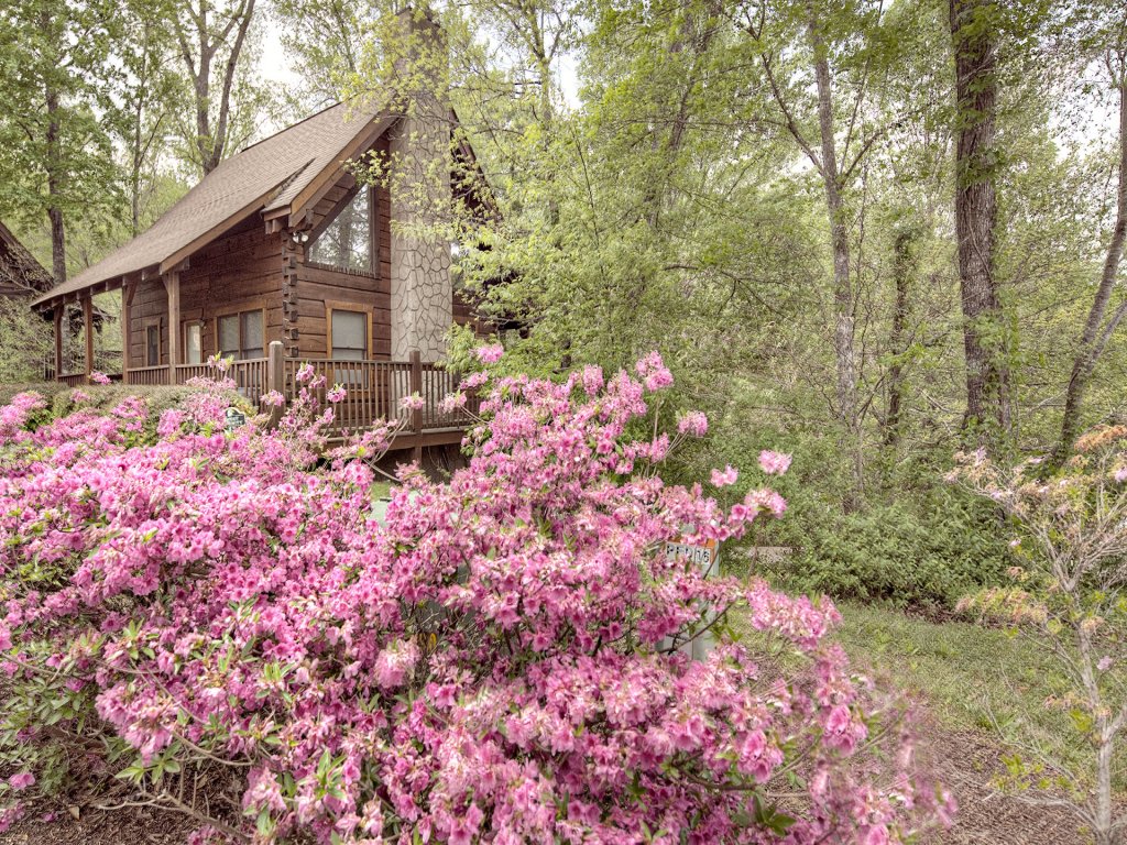 ER83 - Savage Loft Vacation Rental in Pigeon Forge - RedAwning