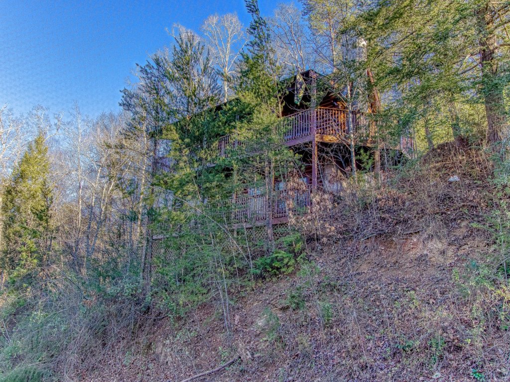 ER240 - Smoky Safari Vacation Rental in Pigeon Forge - RedAwning