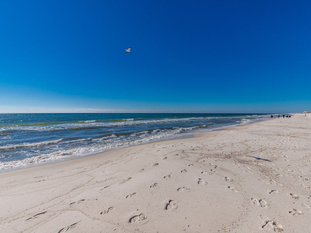 Gulf Shores Surf & Racquet 603A Vacation Rental in Gulf Shores - RedAwning