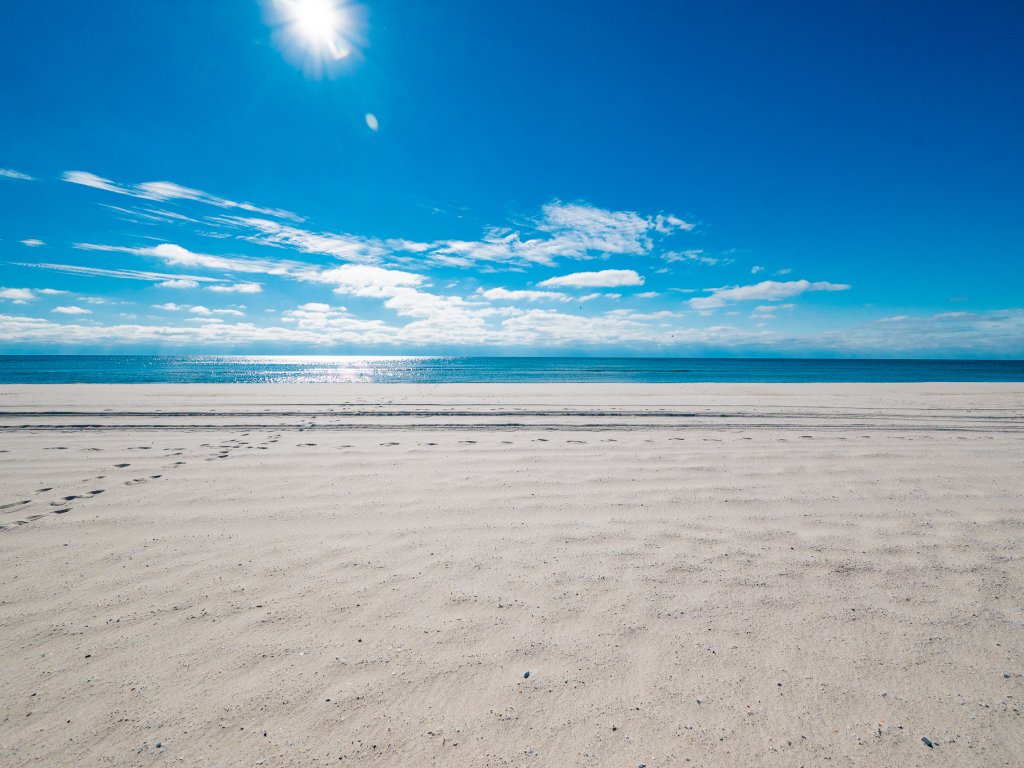 Phoenix IX 911 Vacation Rental in Orange Beach - RedAwning