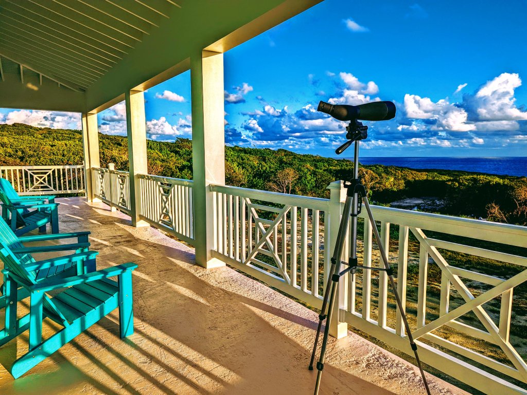 Sephora - Brand New Estate w/2-Ocean Views, Pool Vacation Rental - RedAwning