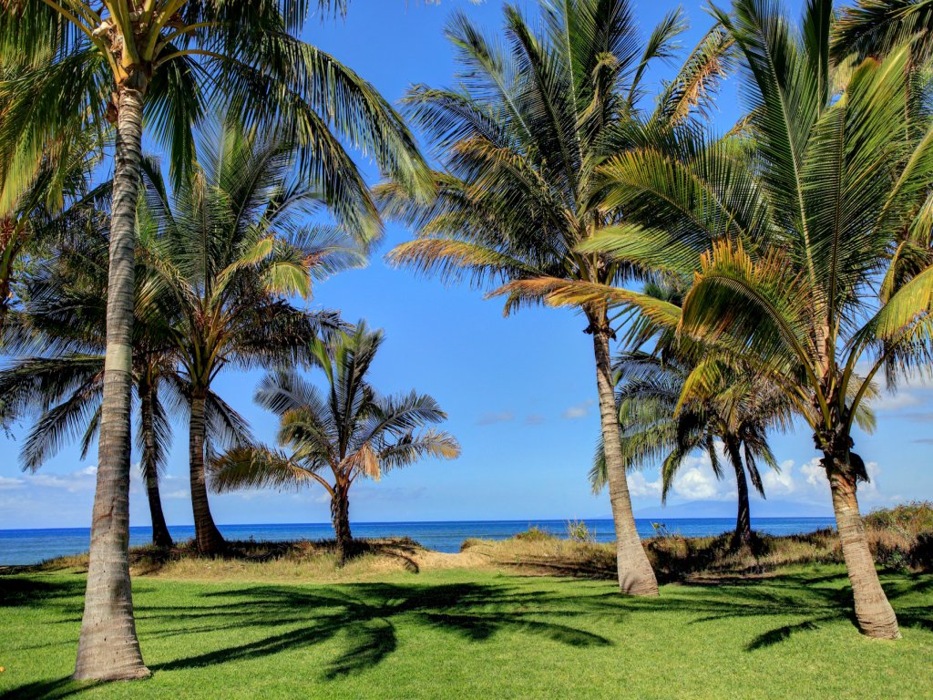 Halama Hale Private Home Vacation Rental in Kihei - RedAwning