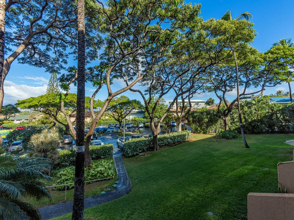Maui Vista 2213 Vacation Rental in Kihei - RedAwning