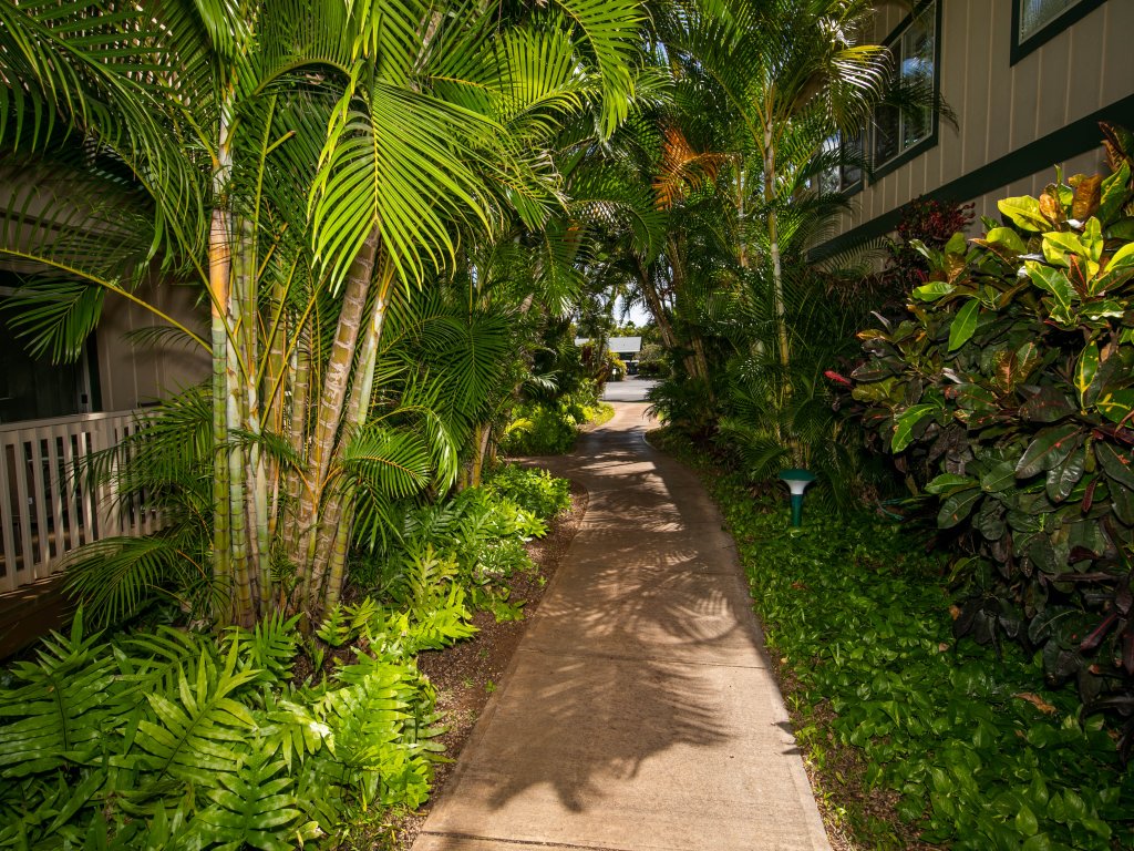Kauai Regency at Poipu Kai #711 Vacation Rental in Poipu - RedAwning