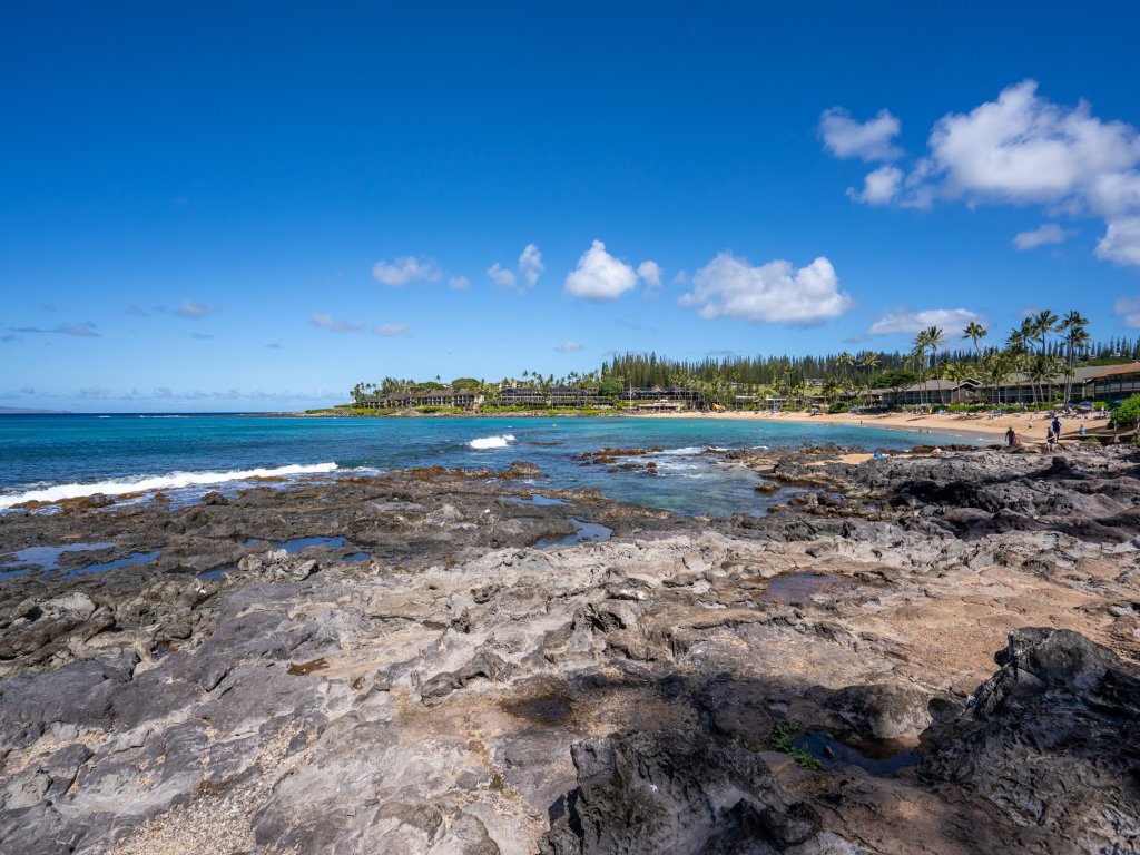 Napili Shores E238 Vacation Rental in Napili - RedAwning