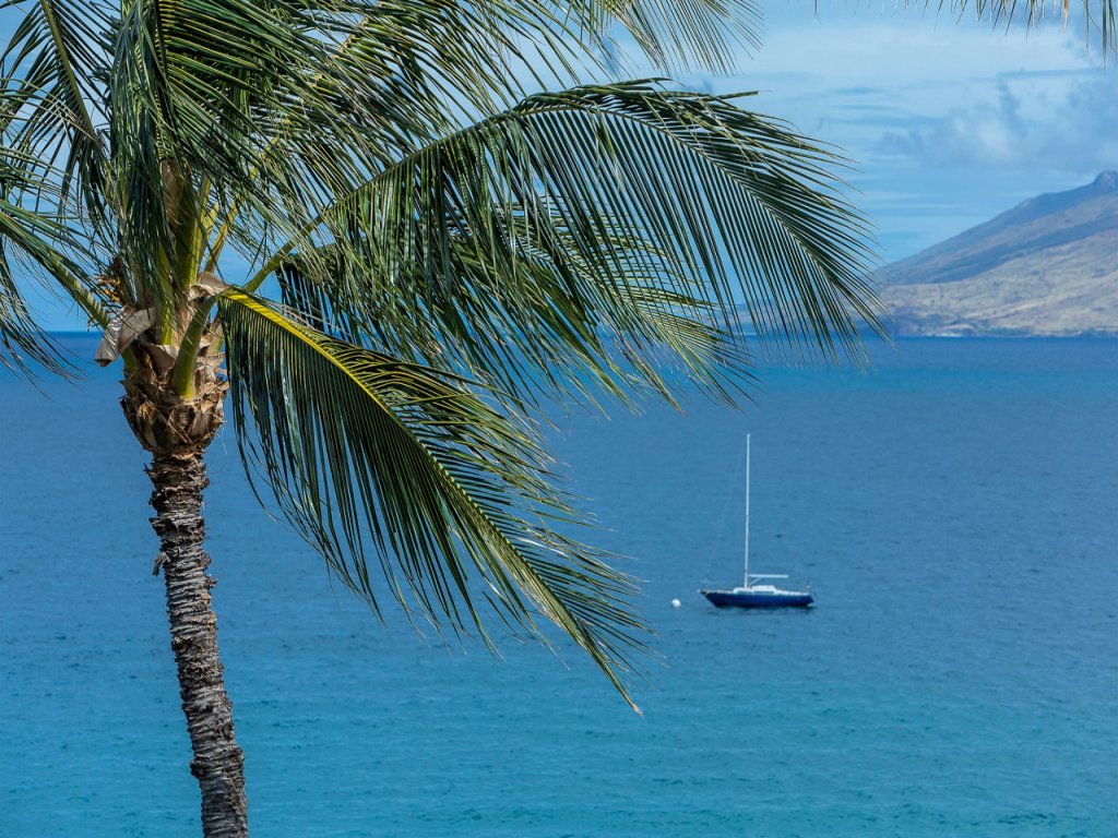 Hale Kamaole 121 Vacation Rental in Kihei - RedAwning