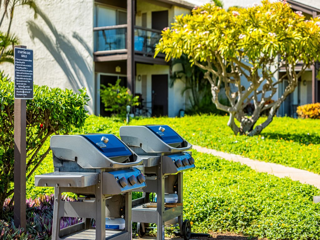 Hale Kamaole 121 Vacation Rental in Kihei - RedAwning