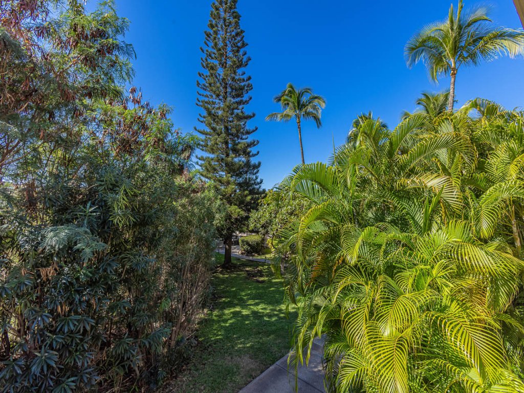 Maui Banyan T209 Vacation Rental in Kihei - RedAwning