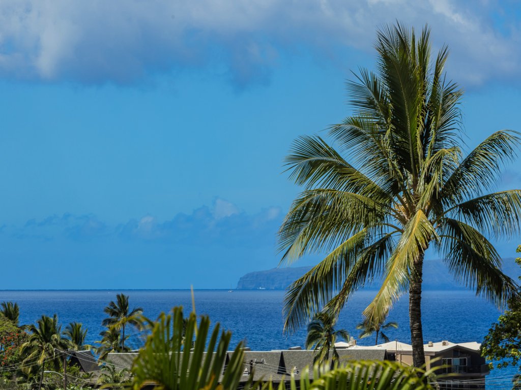Maui Hill D-41 Vacation Rental in Kihei - RedAwning