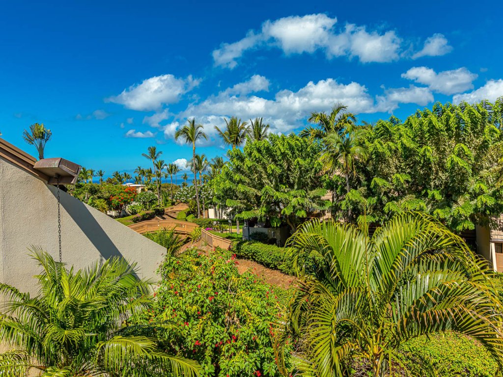 Maui Kamaole F203 Vacation Rental in Kihei - RedAwning