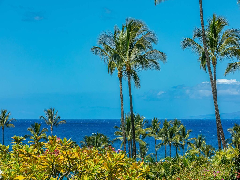 Wailea Elua 2109 Vacation Rental in Wailea - RedAwning