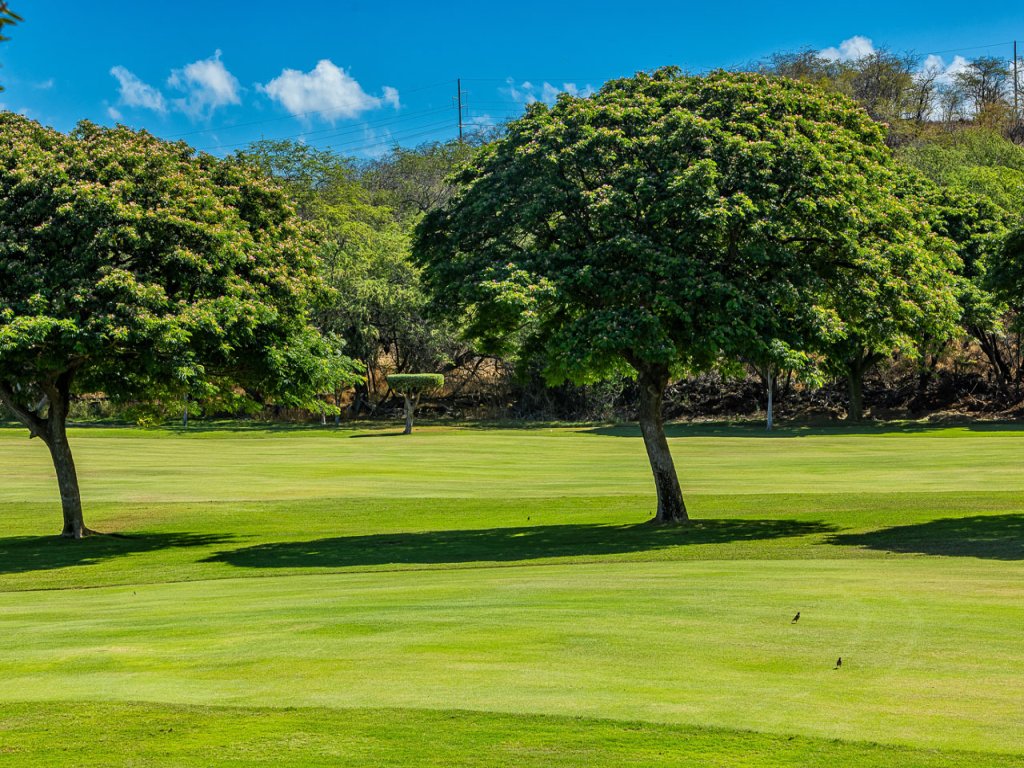 Grand Champions 74 Vacation Rental in Wailea - RedAwning