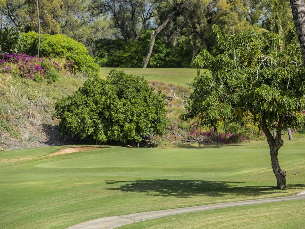 Grand Champions 68 Vacation Rental in Wailea - RedAwning