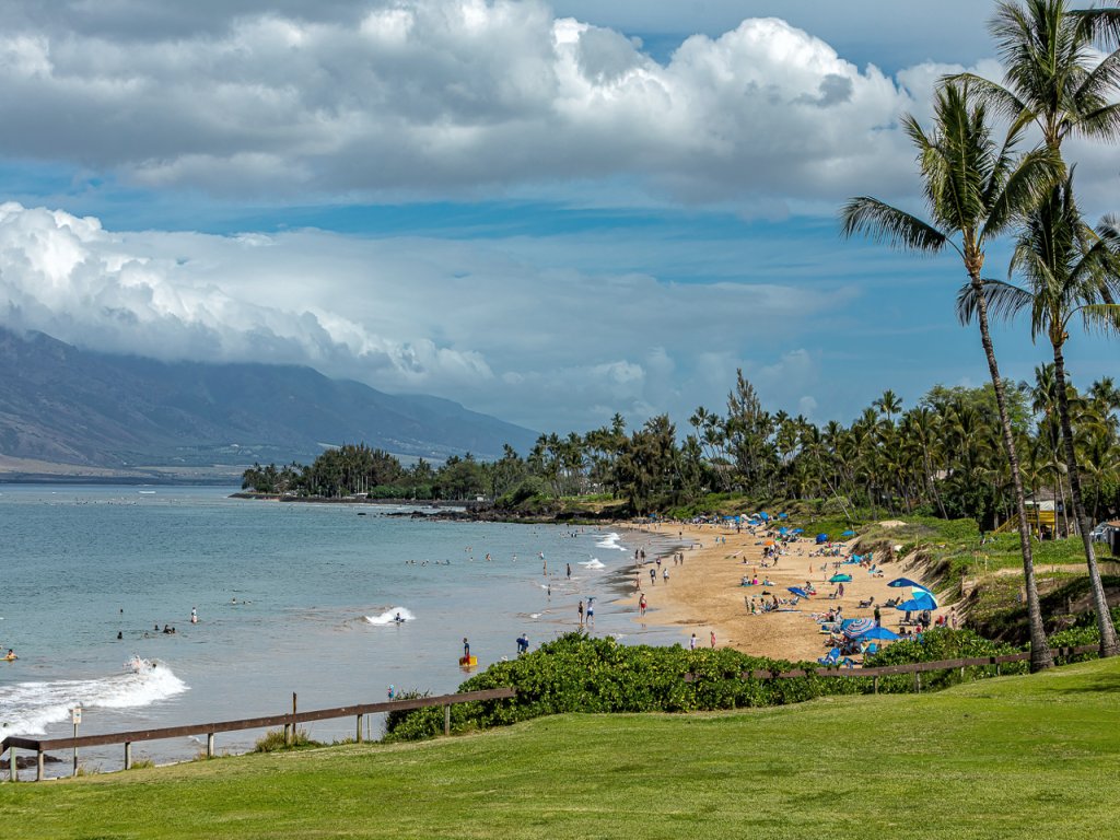Royal Mauian 206 Vacation Rental in Kihei - RedAwning