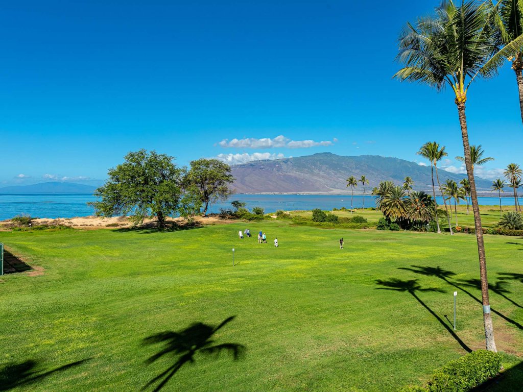 Luana Kai D305 Vacation Rental in Kihei - RedAwning