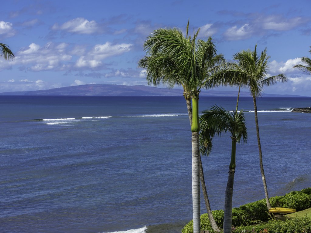 Maalaea Banyans 416 Vacation Rental in Wailuku - RedAwning