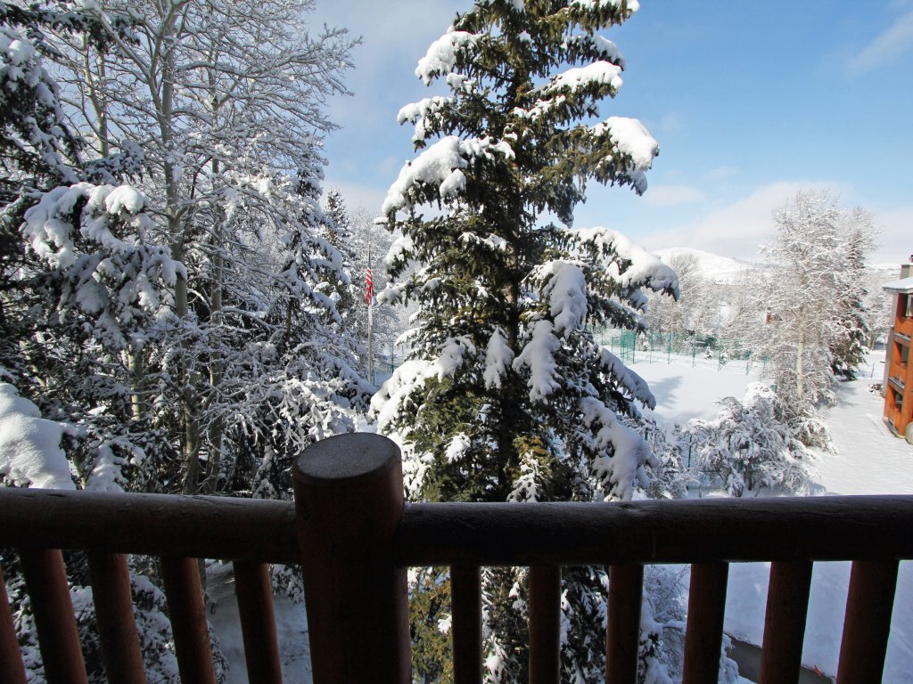 Snow Flower 071 Vacation Rental in Park City - RedAwning