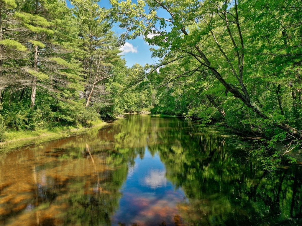 CROOKED RIVER COTTAGE LIMIT 5 Vacation Rental in Maine - RedAwning