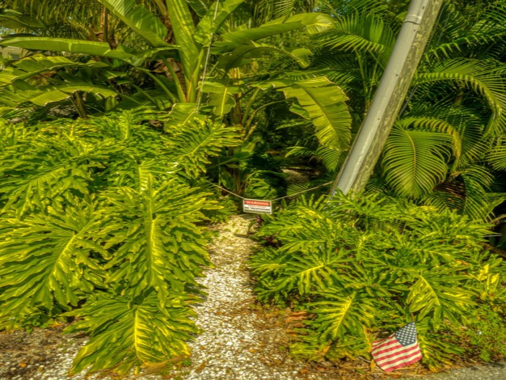 Little Current Vacation Rental in Captiva - RedAwning