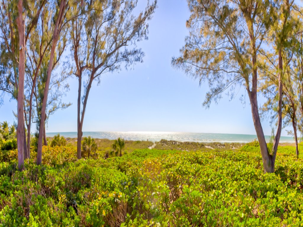 Arcadia Vacation Rental in Captiva - RedAwning