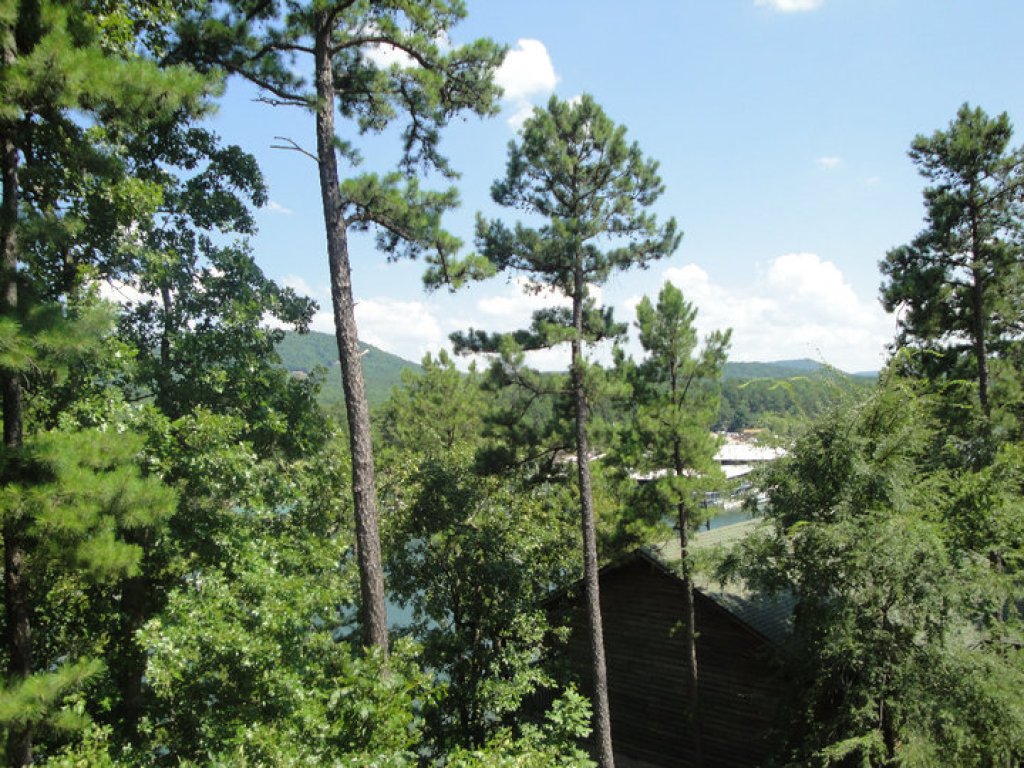 Mountain Harbor two bedroom cottage on the lake Vacation Rental in Arkansas - RedAwning