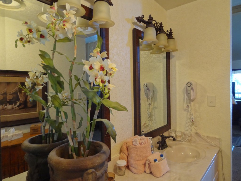 C22 - Luxury three bedroom, three bath cottage with  hot  overlooking Lake Ouachita Vacation Rental in Arkansas - RedAwning