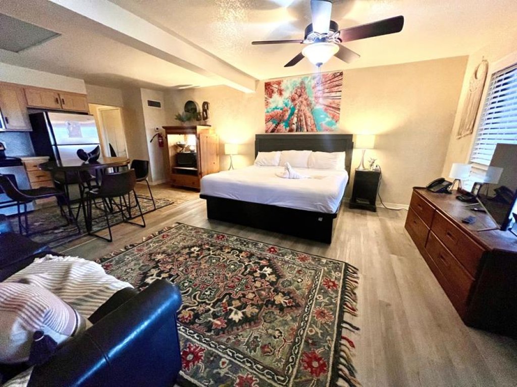 Mountain Harbor studio on Lake Ouachita. Vacation Rental in Arkansas - RedAwning