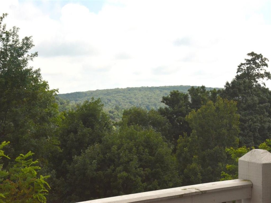 Seven Springs 4 BR Premium Condo, Mountain Views! Vacation Rental in Pennsylvania - RedAwning