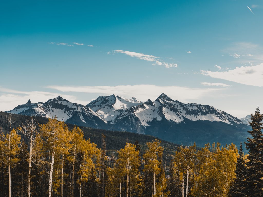 Winterleaf Vacation Rental in Mountain Village - RedAwning