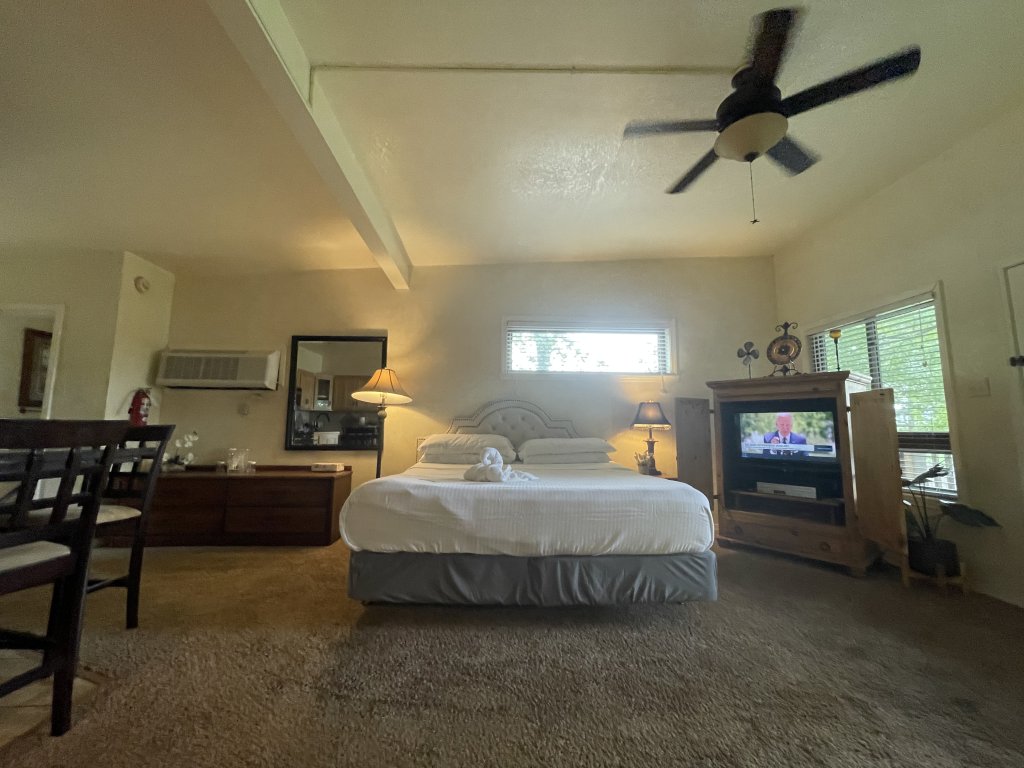 SU13 - Lake view King Studio with full kitchen, deck overlooking Lake Ouachita, king bed and queen sleeper sofa Vacation Rental in Arkansas - RedAwning