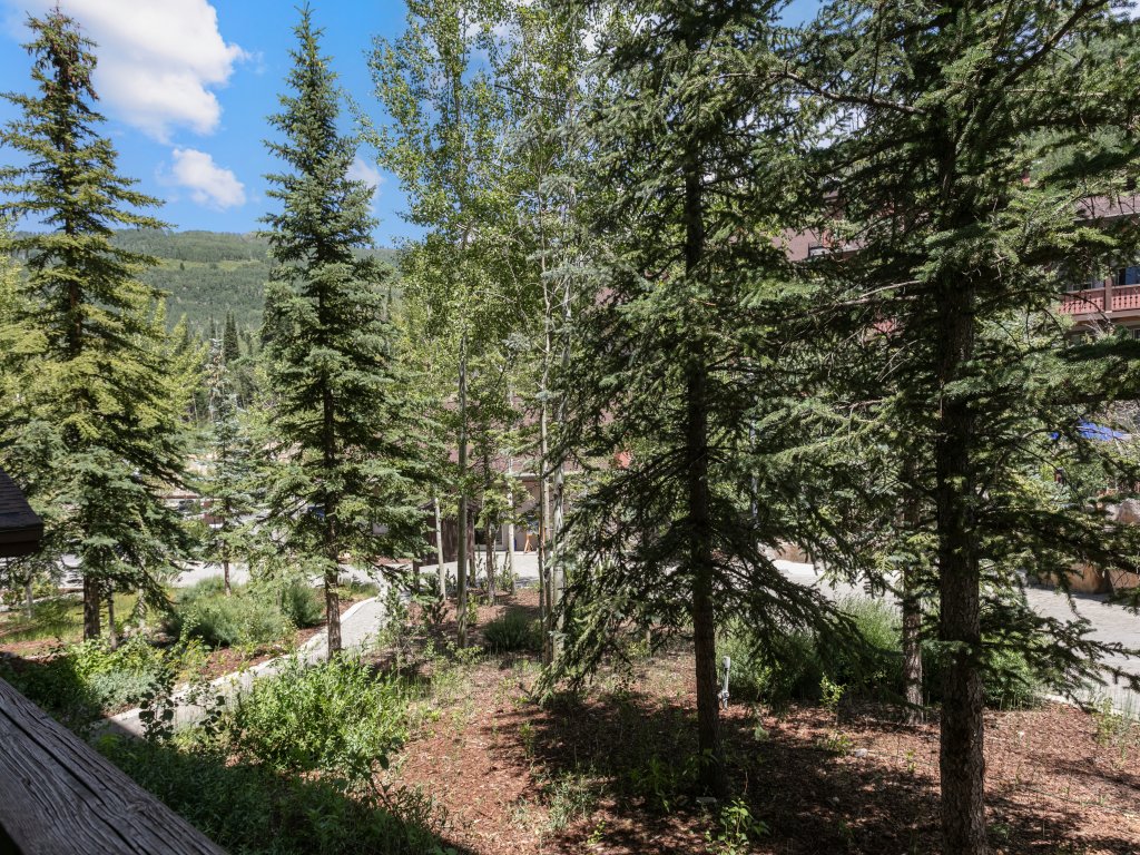 1106 - Studio Standard Eagle Springs West Vacation Rental in Solitude - RedAwning