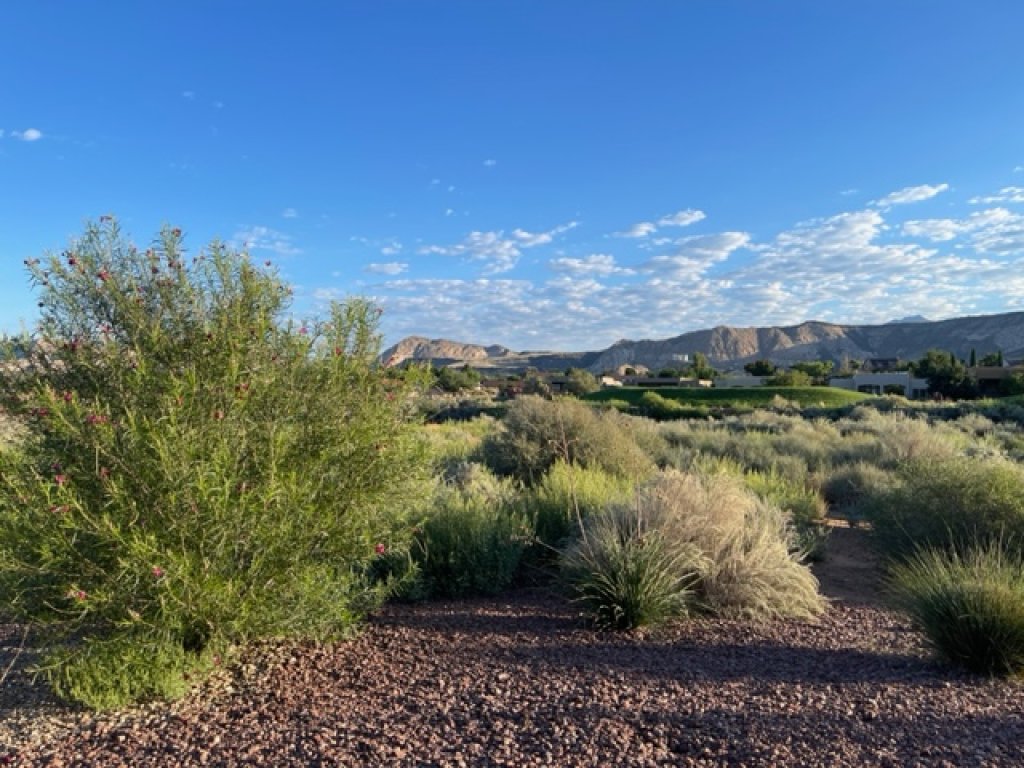 Desert Haven Vacation Rental in St. George - RedAwning