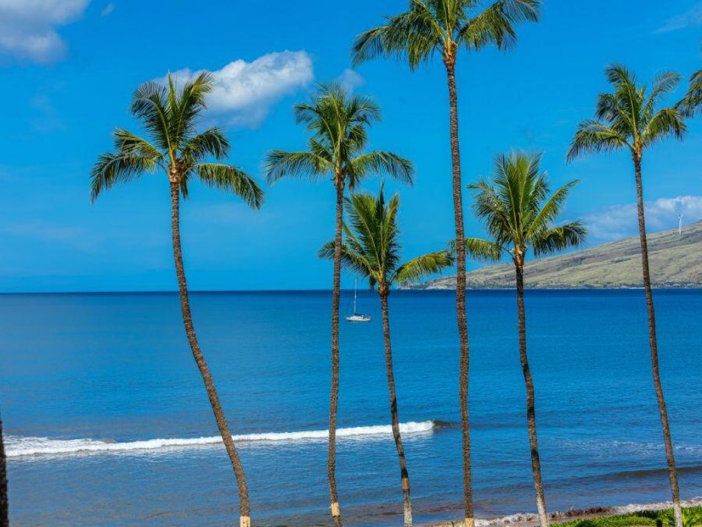 SUGAR BEACH RESORT #412 Vacation Rental in Hawaii - RedAwning