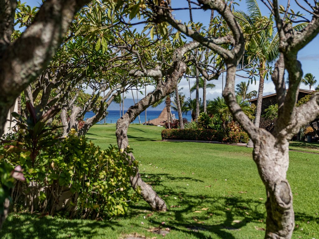 Napili Shores F147 1 bdrm, Newly remodeled Vacation Rental in Lahaina - RedAwning