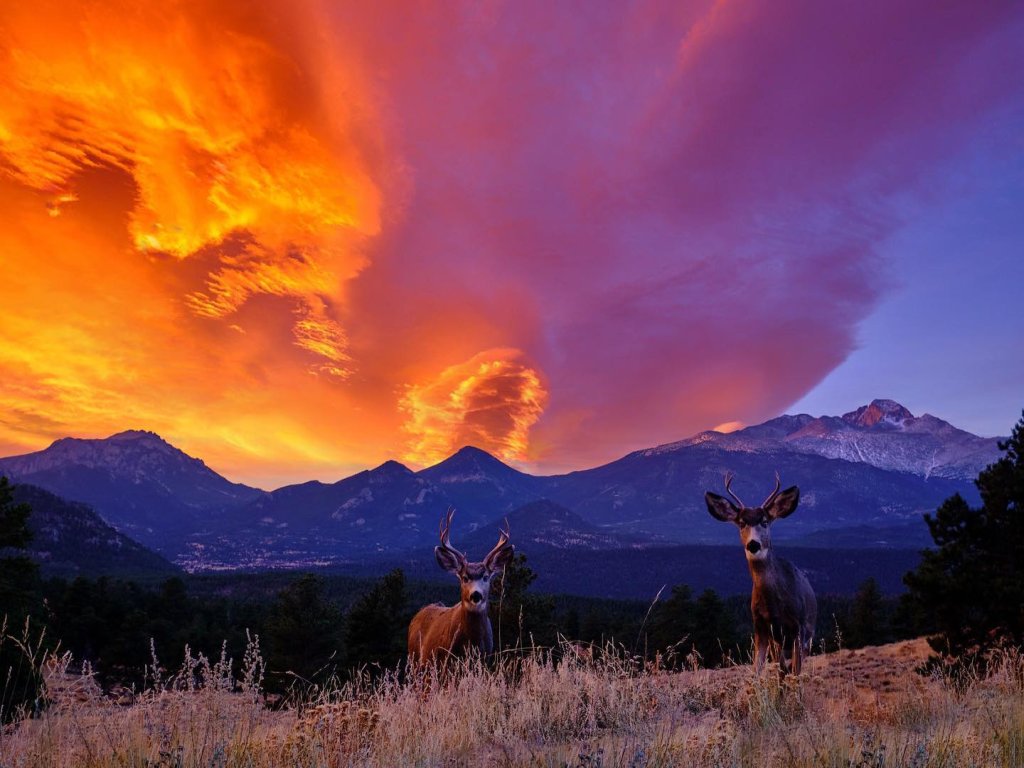 Kittery West - Monthly Long-Term 30+ Day Only Vacation Rental in Estes Park - RedAwning