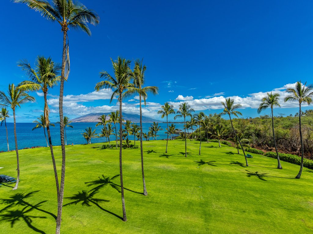 Kihei Surfside 412 Vacation Rental in Kihei - RedAwning