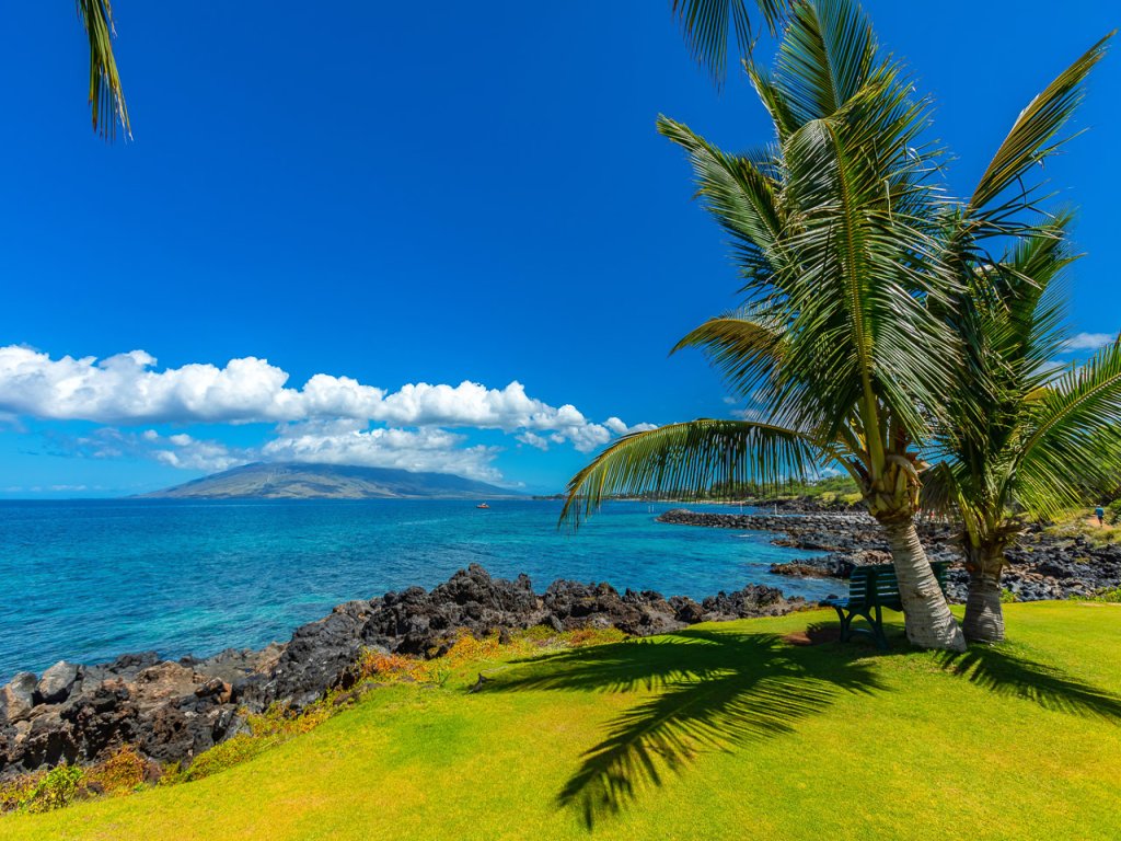 Kihei Surfside 506 Vacation Rental in Kihei - RedAwning